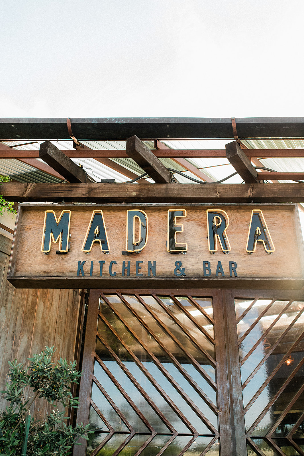 Beautiful Greenhouse Inspired Wedding at Madera Kitchen in Downtown LA
Adventure wedding and elopement photography by Wildflower Photo Co.