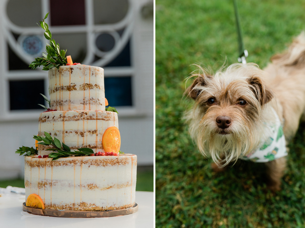 Whimsical and Retro Wedding at the Heritage Square Museum in Los Angeles
Adventure wedding and elopement photography by Wildflower Photo Co.
