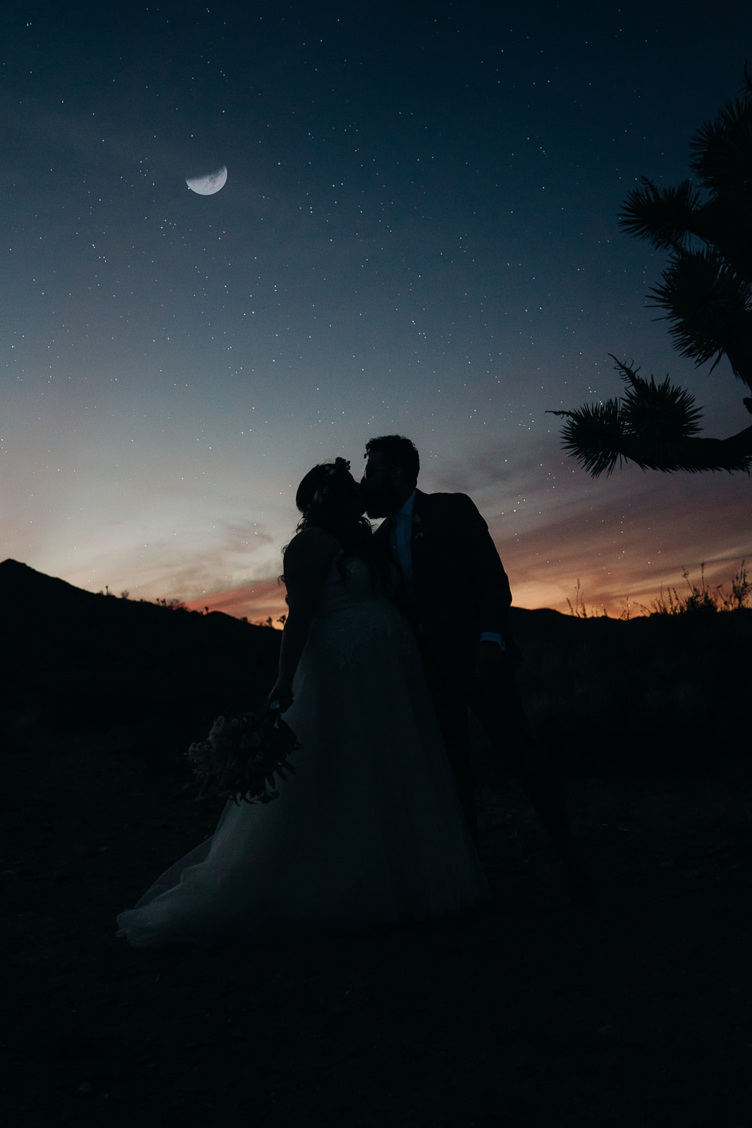 Desert Elopement Silhouette with a Joshua Tree