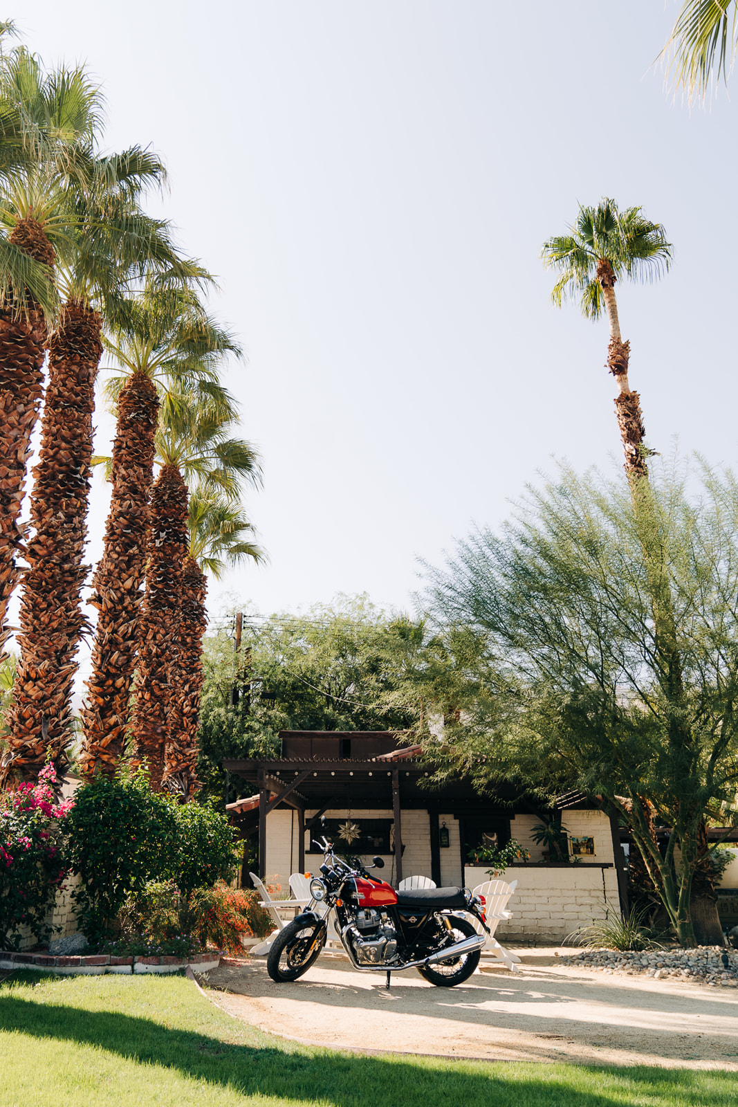 Motorcycle in front of house with large palm trees